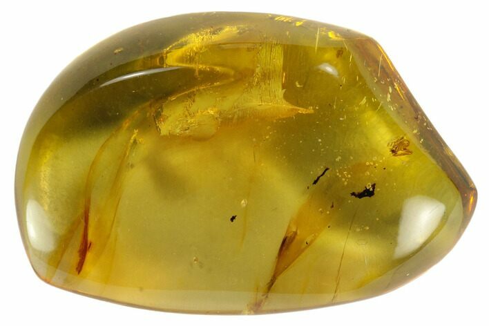 Polished Chiapas Amber ( g) - Mexico #114801